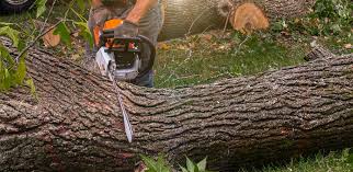 Best Lawn Mowing  in Chenoweth, OR